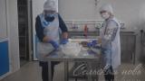 В Аксубаевском районе при поддержке Минсельхозпрода РТ открылся кооператив по производству мясных изделий