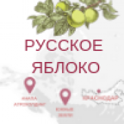 Краевой форум и выставка технологий Русское Яблоко