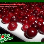 kareliaberriesltd_products_cranberries-ellectronically_sorted_01rus.jpg