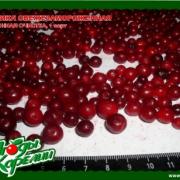 kareliaberriesltd_products_lingonberries-ellectronically_sorted_01rus.jpg