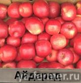 Яблоки из Белоруссии в ассортименте