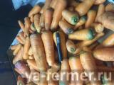 Морковь мытая продаётся