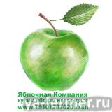Купим яблоки на переработку в РФ, РБ, Украине