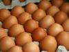 1372230639-eggs.jpg