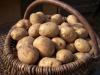 Домашний отборный деревенский картофель