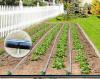 Капельная эмиттерная лента полива растений КЛ длина 100 метров шаг 30 см для дачи и огорода