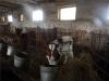 Действующая молочно-товарная ферма на земельном участке 14 га Абинский район Краснодарский край