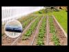 Встроенная миниатюра for Набор капельного полива растений КПК 100 готовый комплект под ключ для дачи, сада и огорода