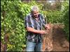 Встроенная миниатюра for Как посадить виноград