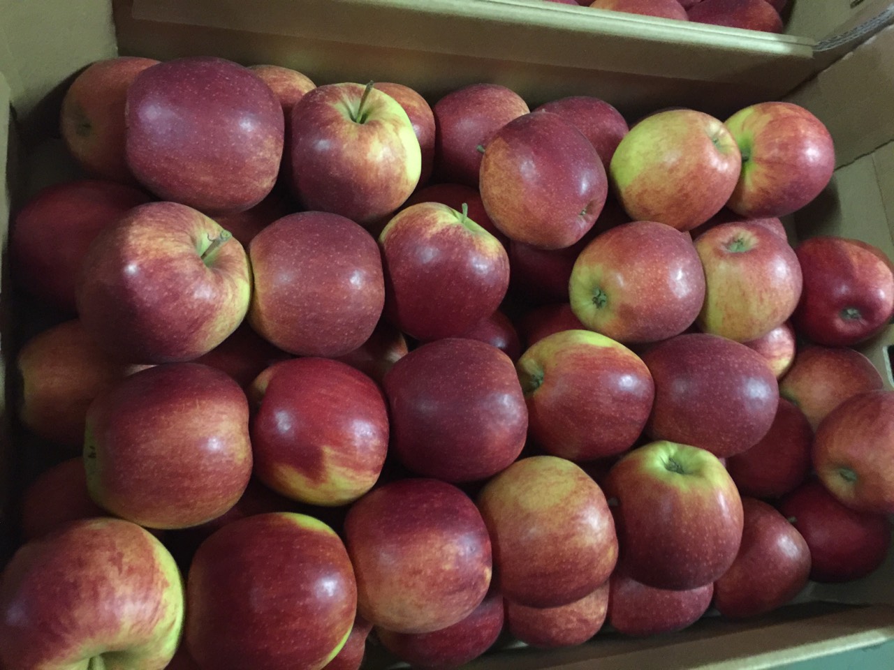 Яблоки оптом от производителя. Хвалынск купить яблоки оптом от производителя дешево.